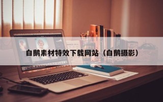 锡林郭勒白鹅素材特效下载网站（白鹅摄影）